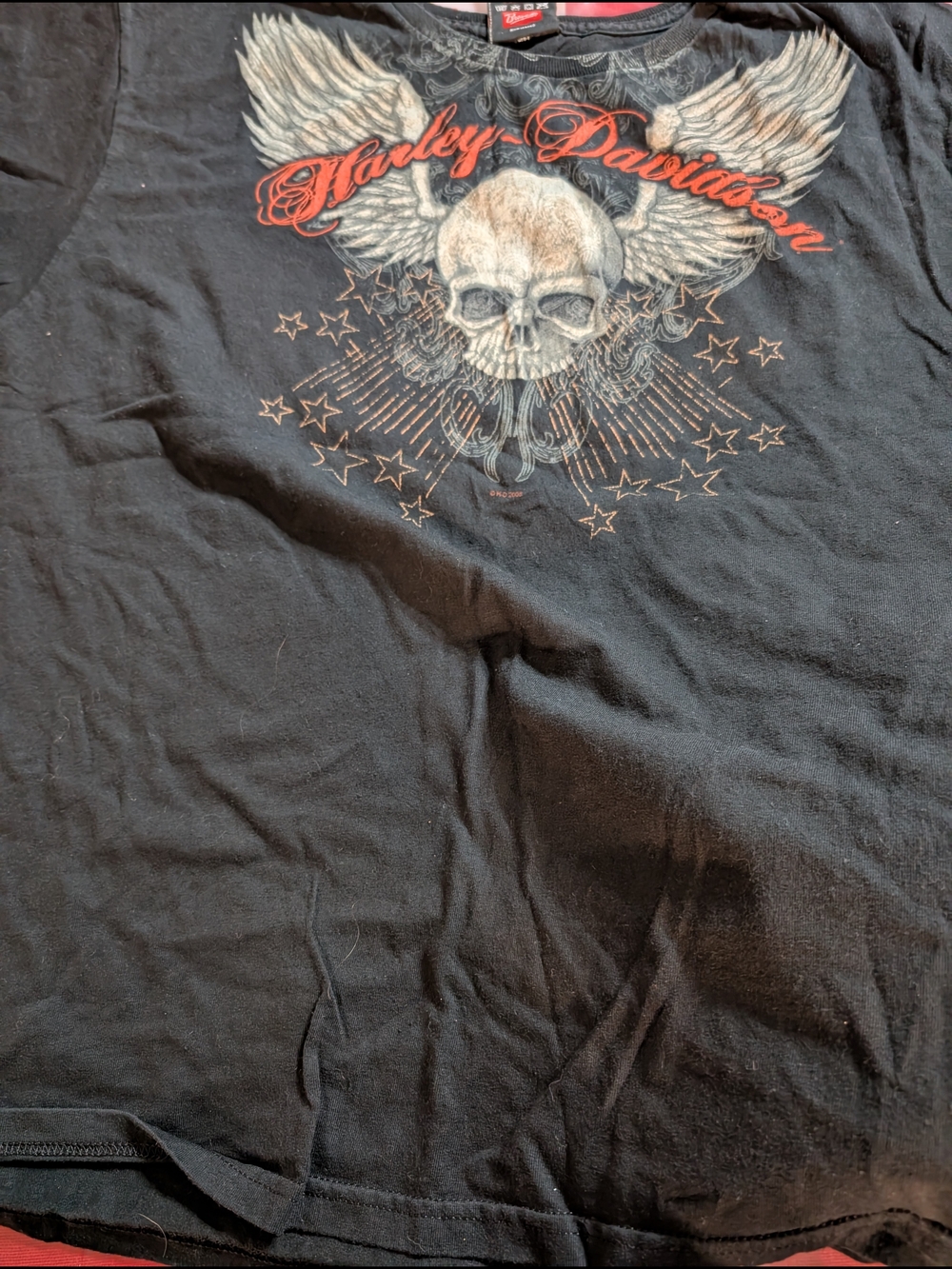 Harley-Davidson Men’s Black Skull & Wings Graphic T-Shirt